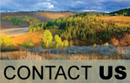 Contact Grouse Creek Ranch